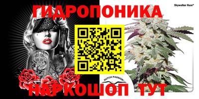 СК Нальчик