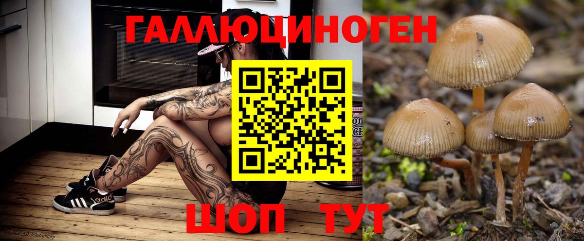 Галлюциногенные грибы GOLDEN TEACHER  Вход с VPN  Галлюциногенные грибы мухоморы  Вышний Волочёк 